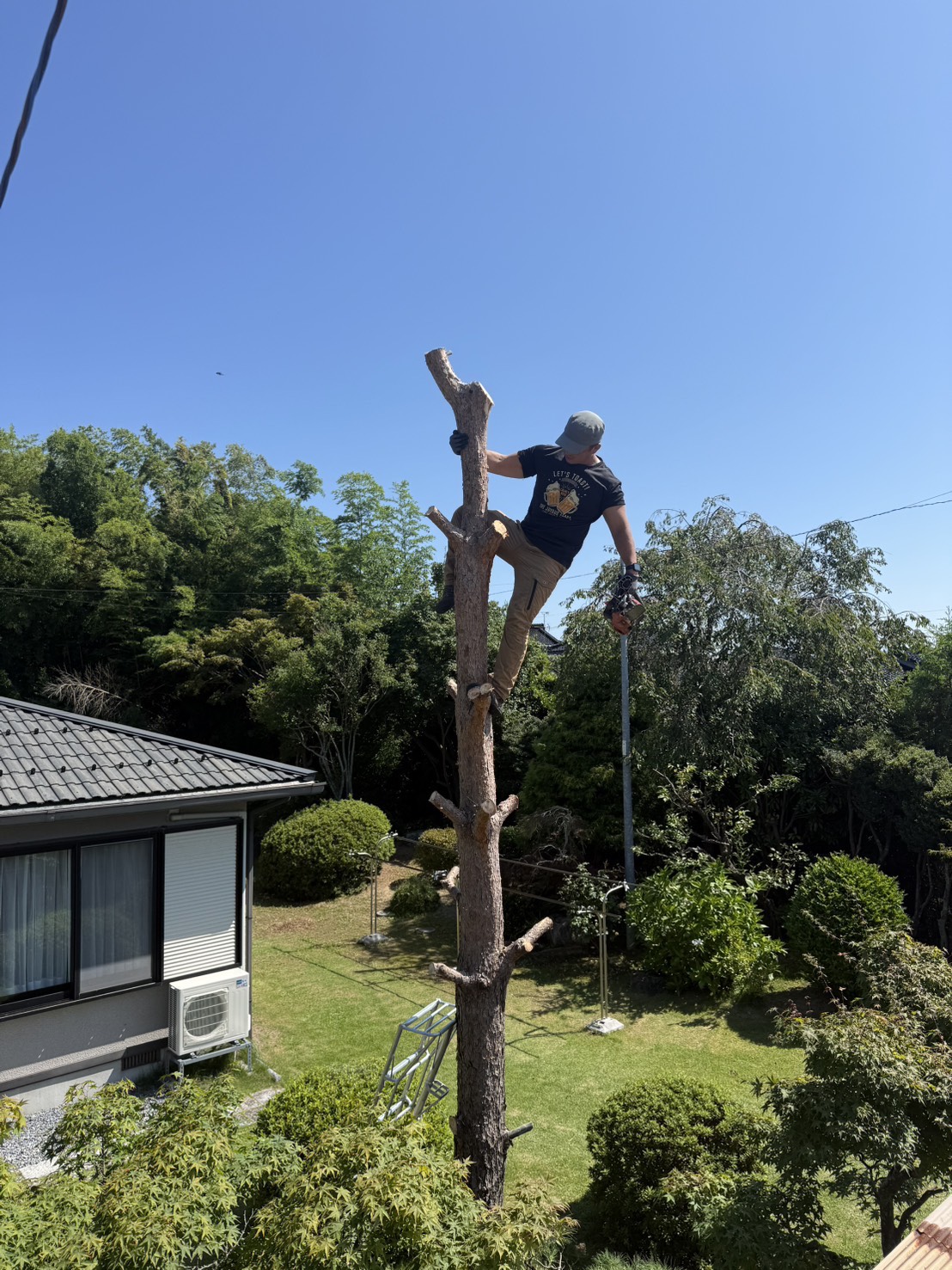 庭木の伐採作業を行うガーデンワラ助