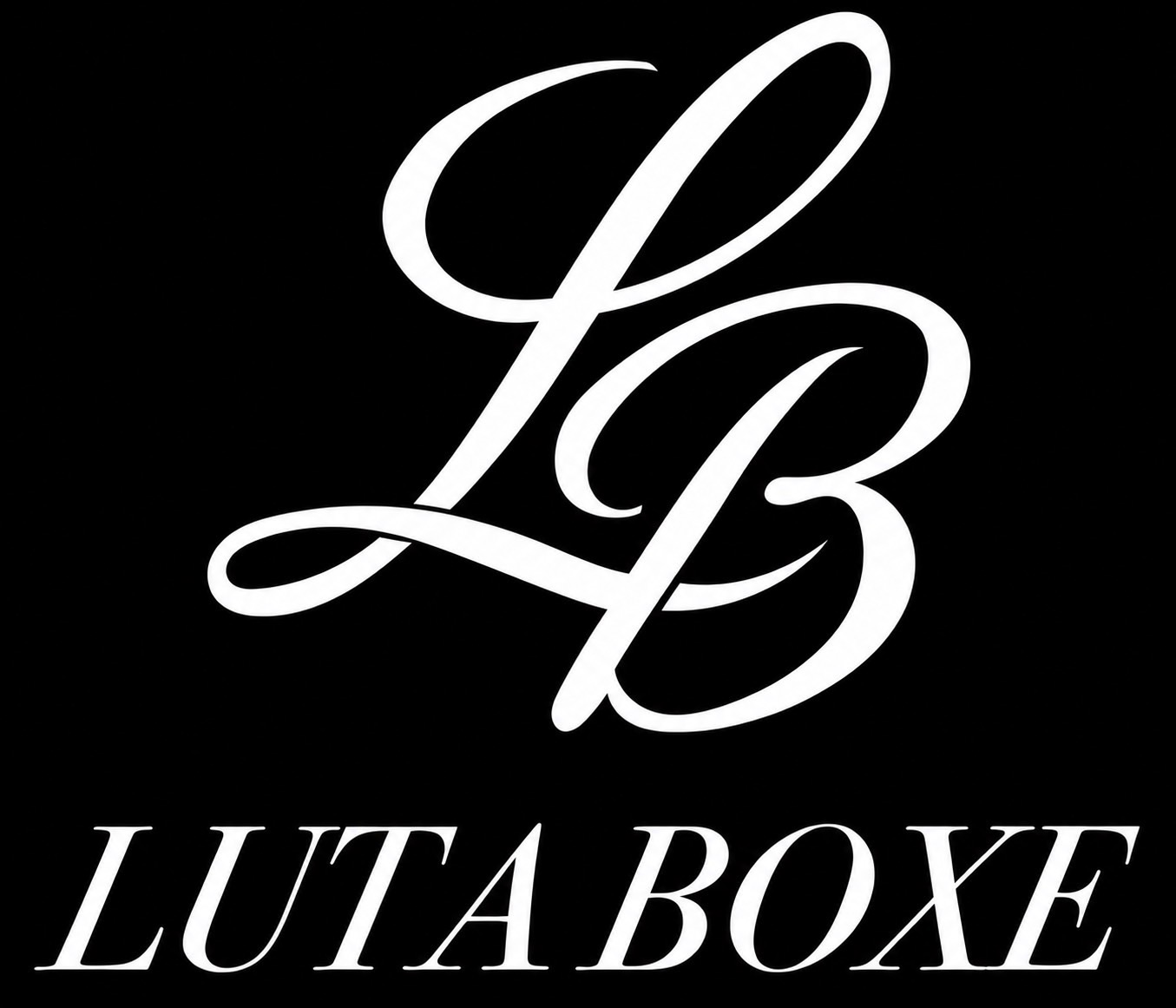 LUTA BOXE